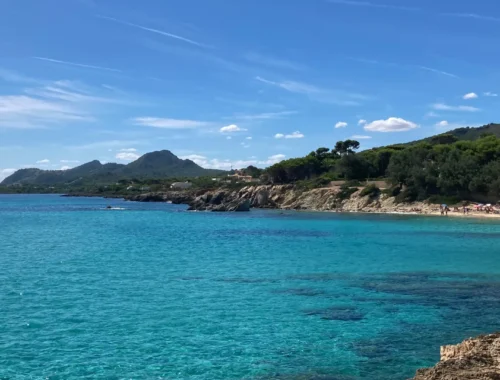 Ein Bild mit Wasser, Bäumen und Bergen im Hintergrund.