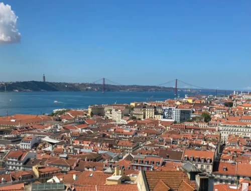 Eine Stadt mit roten Dächern und eine Brücke die über das Wasser führt.