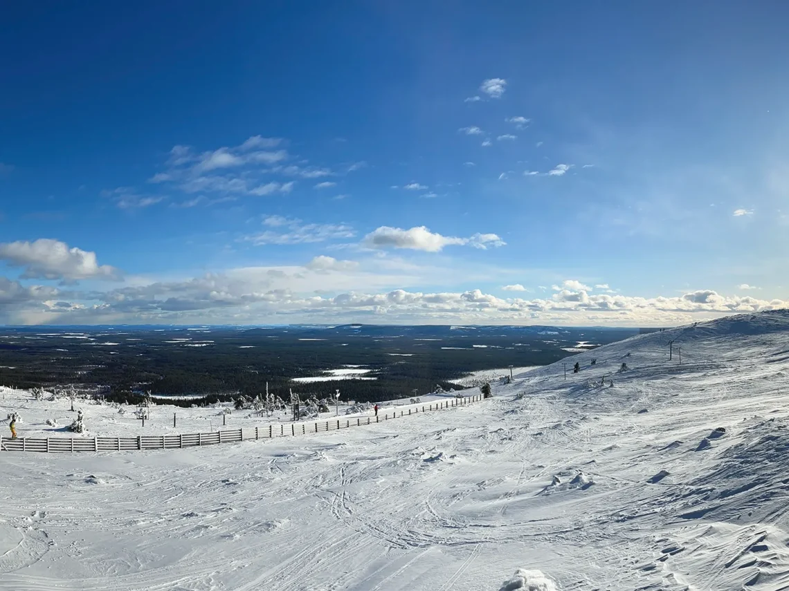 Ein schneebedeckter Berg mit Zäunen und Bäumen.