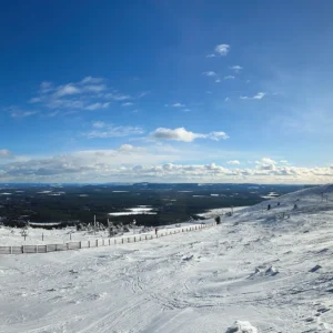 Ein schneebedeckter Berg mit Zäunen und Bäumen.