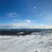 Ein schneebedeckter Berg mit Zäunen und Bäumen.