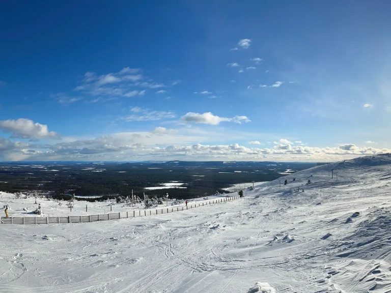 Ein schneebedeckter Berg mit Zäunen und Bäumen.