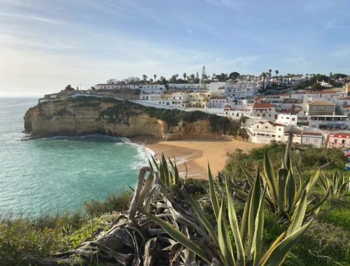 Algarve: Im Vordergrund Pflanzen, im Hintergrund ein Küstenort mit gleichnamigen Strand.