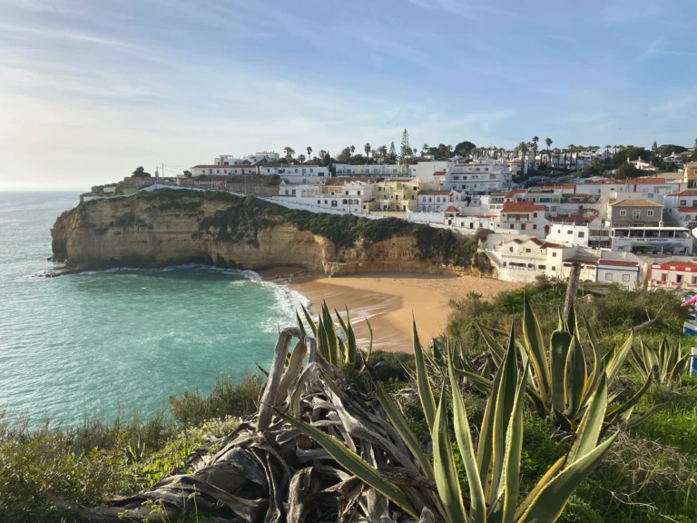 Algarve: Im Vordergrund Pflanzen, im Hintergrund ein Küstenort mit gleichnamigen Strand.
